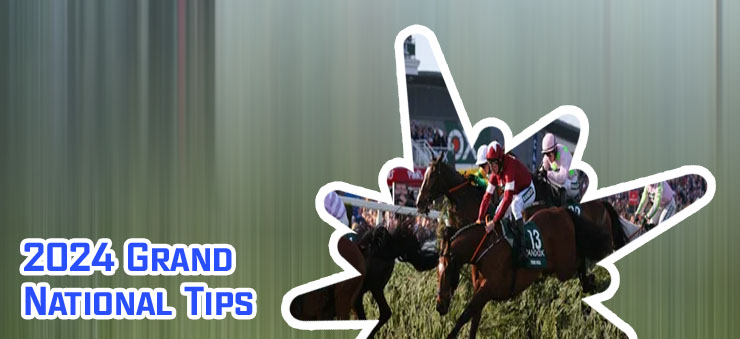 Grand national tips 2024