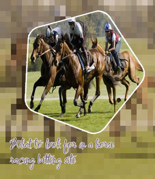 Live horse racing betting sites