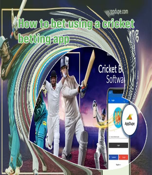 Top cricket betting sites